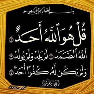 Meet your Posher, Hadeel